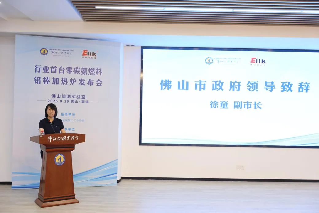 Vice Mayor Xu Tong delivering remarks