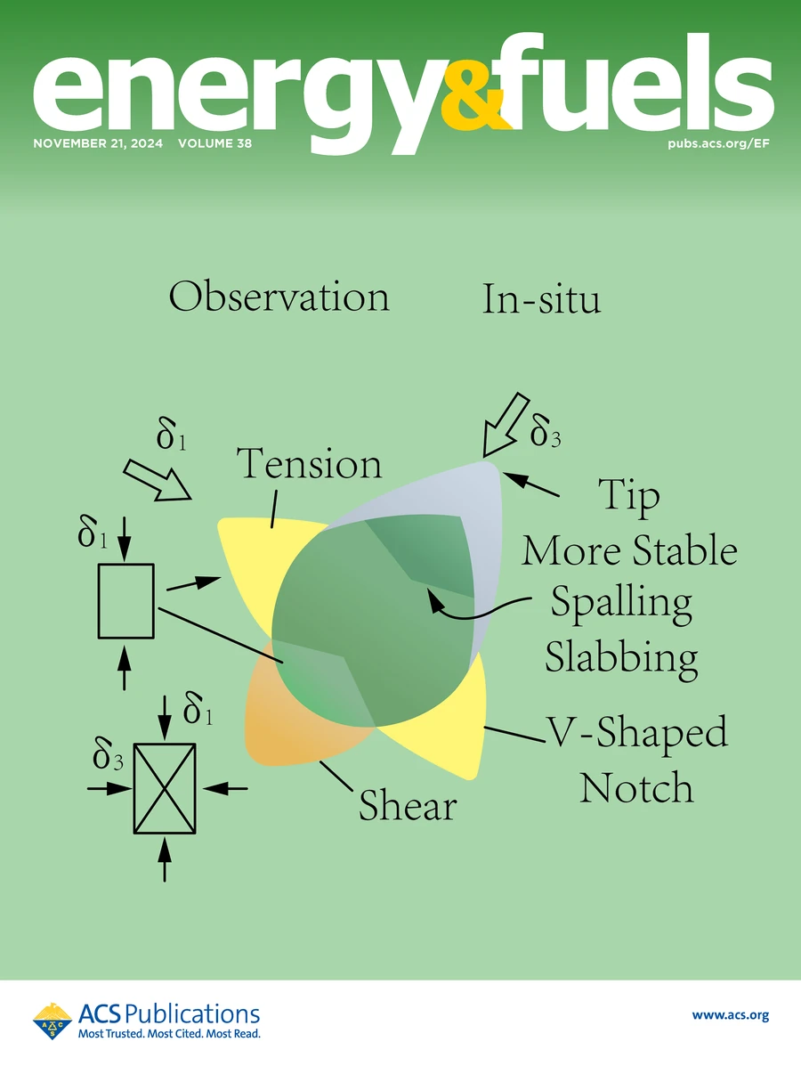 Energy & Fuels，2024年第38卷第22期